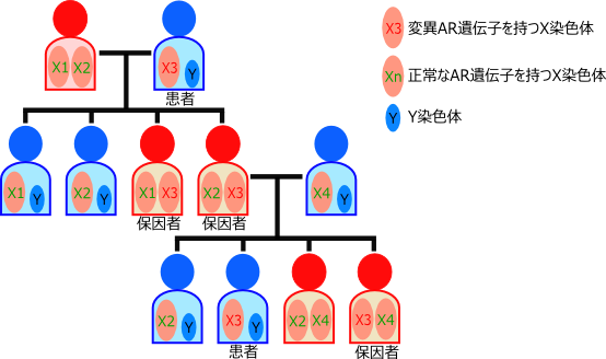 遺伝形式説明図